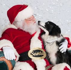 a santa claus sitting in a chair with his dog