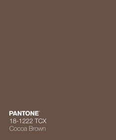 pantone's cocoa brown paint color is shown