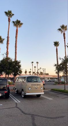 two vans parked in a parking lot next to palm trees and the sun is setting