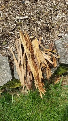 a pile of wood sitting on top of a grass covered field