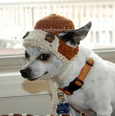 a small white dog wearing a knitted hat