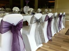 a row of chairs with purple sashes on them