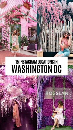 the instagram locations in washington dc with pink flowers and people sitting on swings