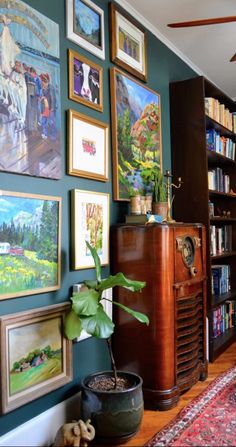 a living room filled with lots of pictures on the wall next to a potted plant