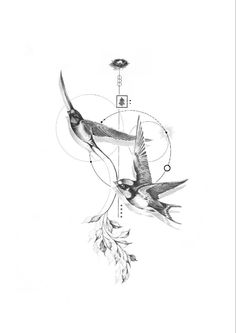 a drawing of two birds flying next to each other