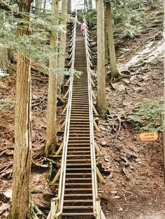 the stairs lead up to the top of the tree - lined hill in the woods