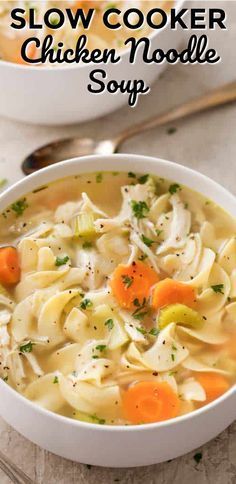 a bowl of chicken noodle soup with carrots and parsley on the side