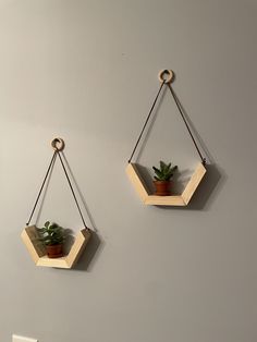 two hanging wooden hexagonal planters with plants on the sides, one holding a succulent