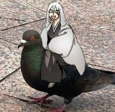 a pigeon sitting on the ground next to a person wearing a nun costume and head scarf