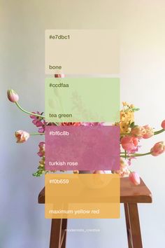 2024 Organic spring flower color palette inspiration | Branding design Peach Cream Color Palette, Color Palette Three Colors, Flower Color Palette, Eclectic Color Palette, Fun Color Palette, Innovative Logo, Color Palette Inspiration