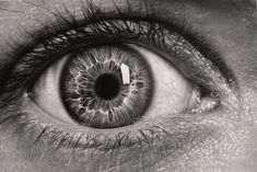 an eye is shown in black and white, with the iris partially opened to show it's structure