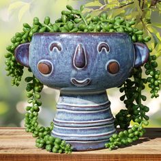 a potted plant with some green plants growing out of it's face and eyes