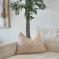 a couch with two pillows and a potted plant