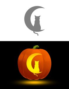 a cat sitting on top of a pumpkin with the letter c in it's center