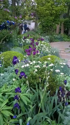 a garden filled with lots of purple and white flowers