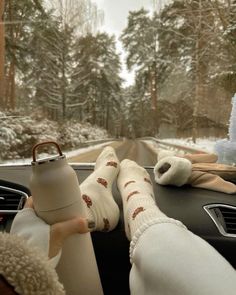 two stuffed animals are sitting in the passenger seat of a car as it drives down a snowy road