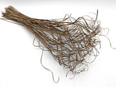 a bunch of dry grass on a white surface