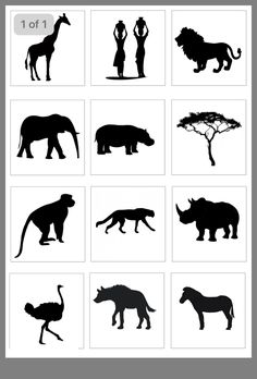 the silhouettes of different animals are shown in black and white, including an elephant, rhino