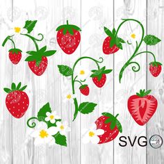 strawberries and daisies on a white wooden background with the word svg cut file