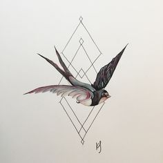 a drawing of a bird in flight with its wings spread out and the letter y on it's side