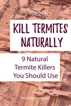 the text reads, it's time to kill termites naturally 9 natural termite killers you should use