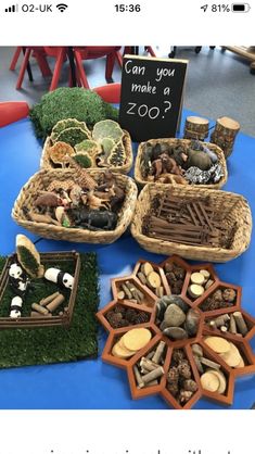 there are many small baskets with animals in them on the blue tablecloth and two signs that say can you make a zoo?