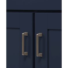 an image of two doors with handles on them