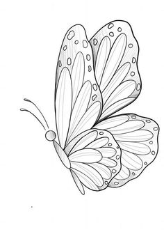 a black and white drawing of a butterfly with drops on it's wings, flying in the air