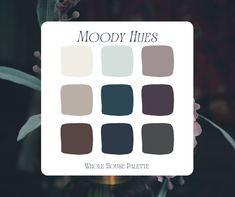 the color palette for mood hues