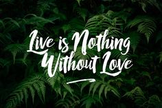 the words live is nothing without love written in white on green leaves with black background