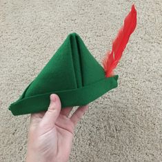 someone is holding a green hat with a red feather on it and pointing to the side