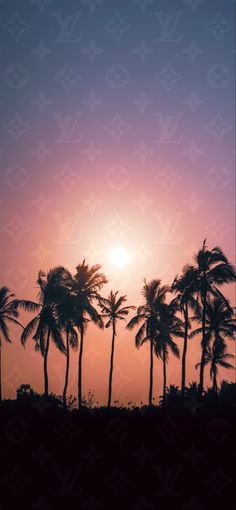 palm trees are silhouetted against the sunset in front of a blue and pink sky