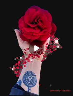 a person's hand holding up a red rose with confetti on it