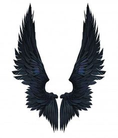 two black wings on a white background