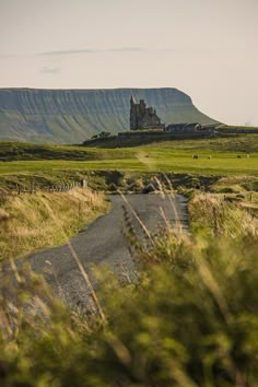 an old castle sits on top of a hill in the distance, surrounded by tall grass