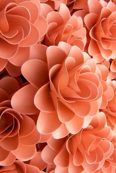 a close up view of pink paper flowers