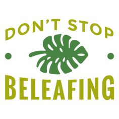 the words don't stop beleafing are shown in green and yellow