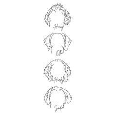 three dogs with different hair styles and their name written on the back of each dog's head