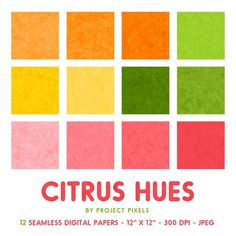 the poster for citrus hues by project pixels