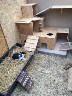 a cat is laying in the hay next to a house made out of plywood