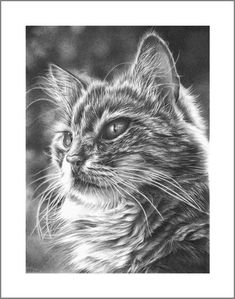 a black and white drawing of a cat