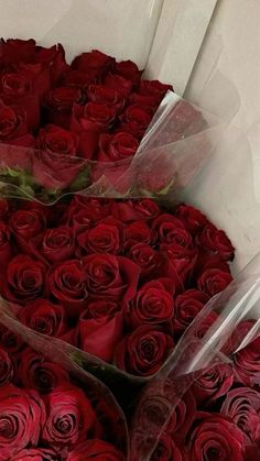 two large bouquets of red roses in clear boxes