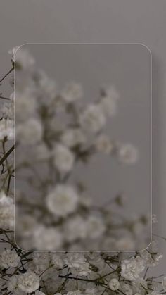 a bunch of white flowers in a vase on a table with a gray wall behind it