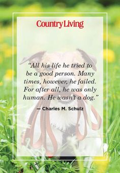 a dog sitting in the grass with a quote from charles m schuz