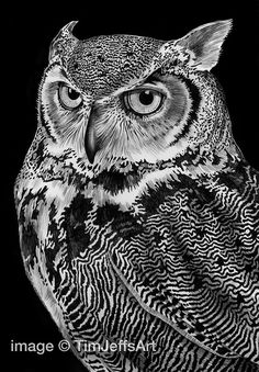 an owl is shown in black and white