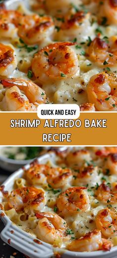 Shrimp Alfredo Bake Recipe Cheesy Shrimp Bake, Baked Shrimp Alfredo, Shrimp Alfredo Bake, Alfredo Dishes, Easy Shrimp Alfredo Recipe, Alfredo Bake Recipe, Shrimp Alfredo Pasta Recipes, Chicken And Shrimp Alfredo, Shrimp Bake