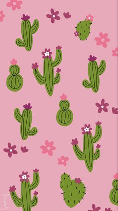 a pink background with green cactus and flowers