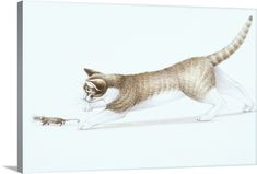 a drawing of a cat chasing a mouse