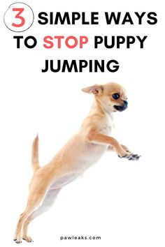 a dog jumping up in the air with text overlay that reads 3 simple ways to stop puppy jumping