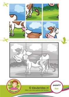 the instructions for how to draw a cartoon cow in different poses and positions, with pictures on